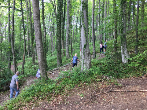 Lobagola Tours-萨格勒布必去景点