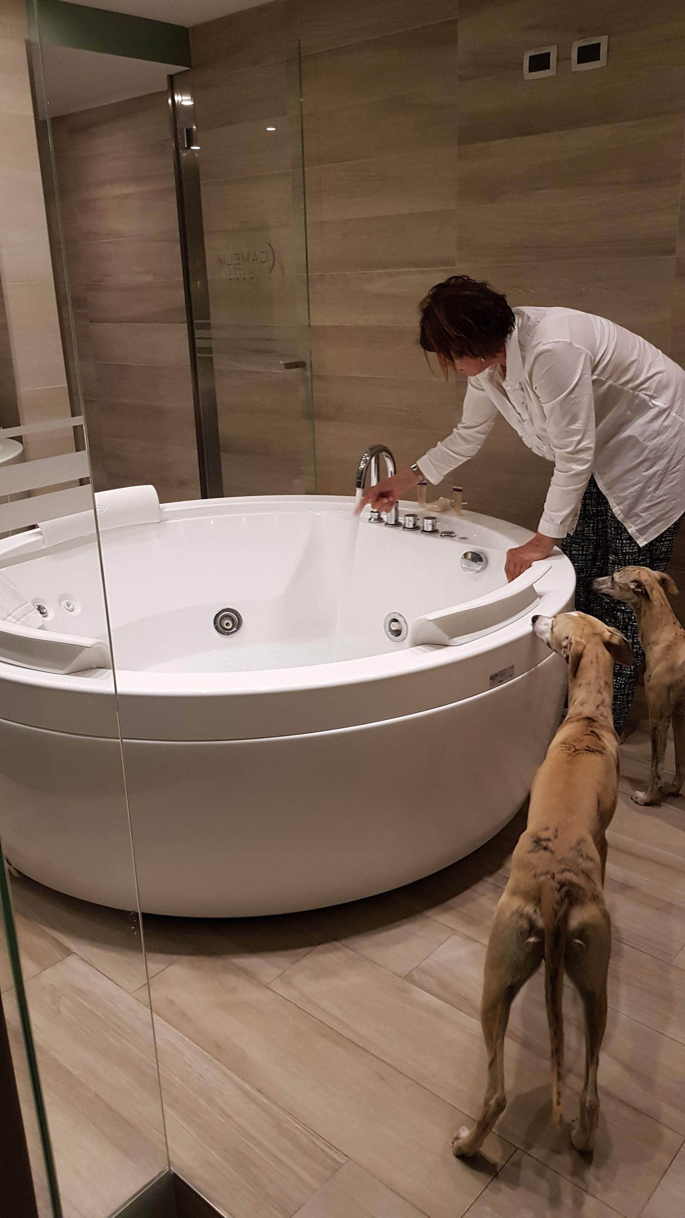 Camelia Hotel-酒店景观