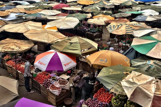 Food Tours and Adventures of Uganda-坎帕拉必去景点