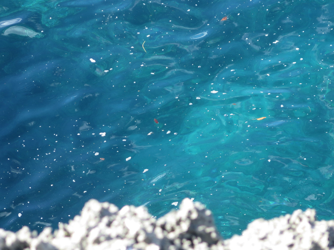 Japan Bunker-韦岛必去景点