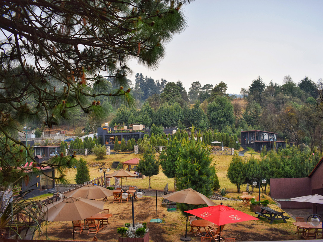 Organico Hotel Boutique主图