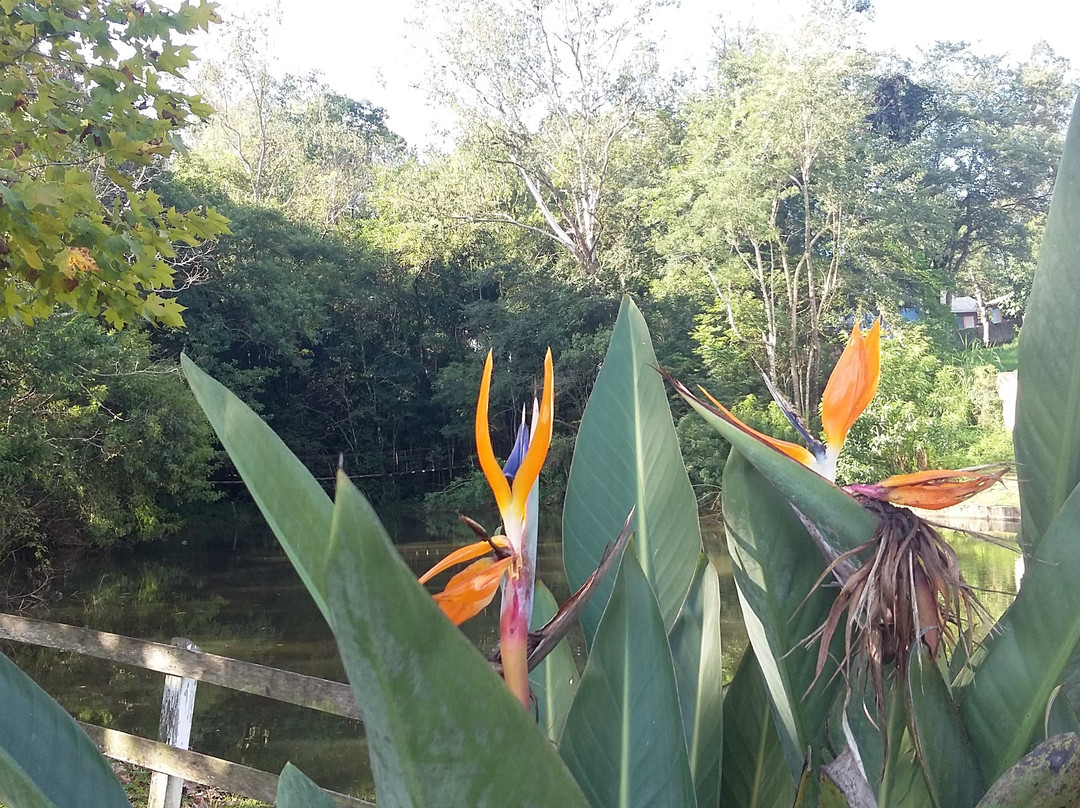 Parque Histórico-Lajeado必去景点