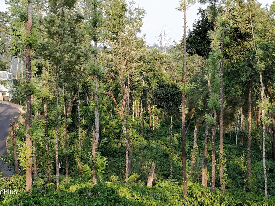 Ibbani Cadu Estate Homestay主图