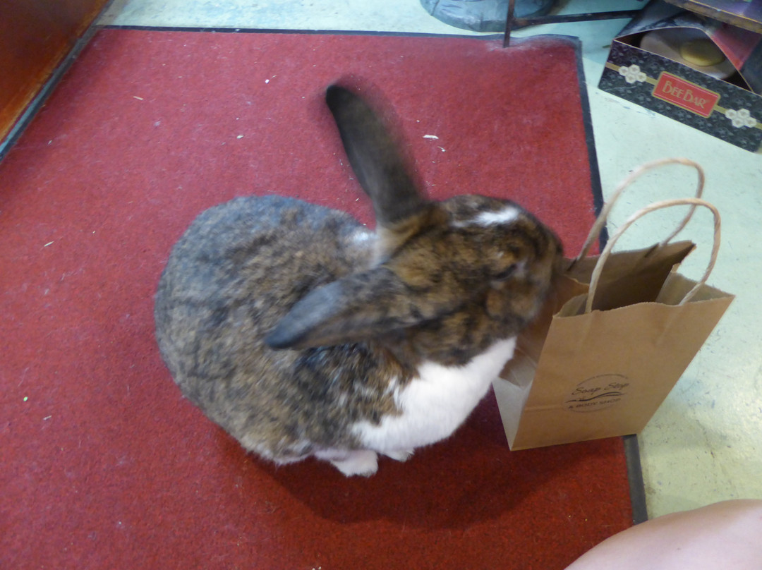 East by West-尤里卡斯普林斯必去景点