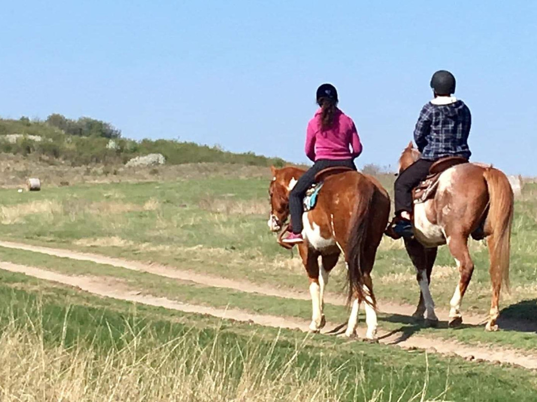 Ponderosa bulgaria pony trekking景点图片