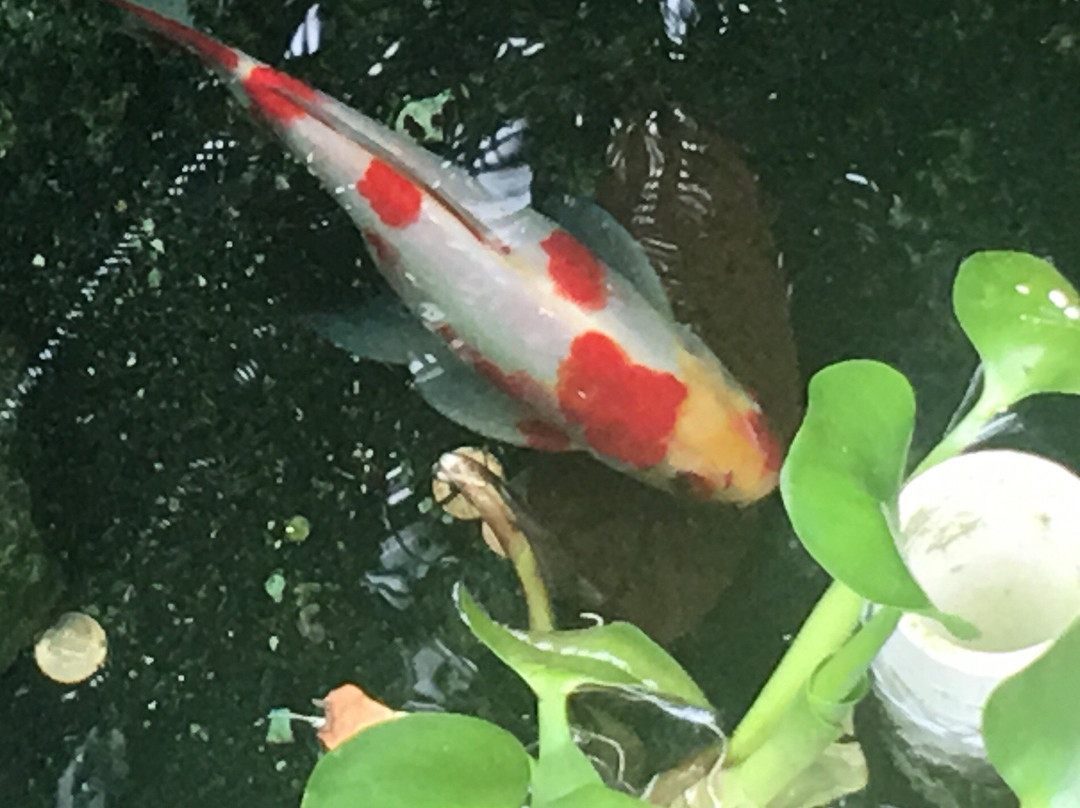 Garfield Park Arts Center-印第安纳波利斯必去景点