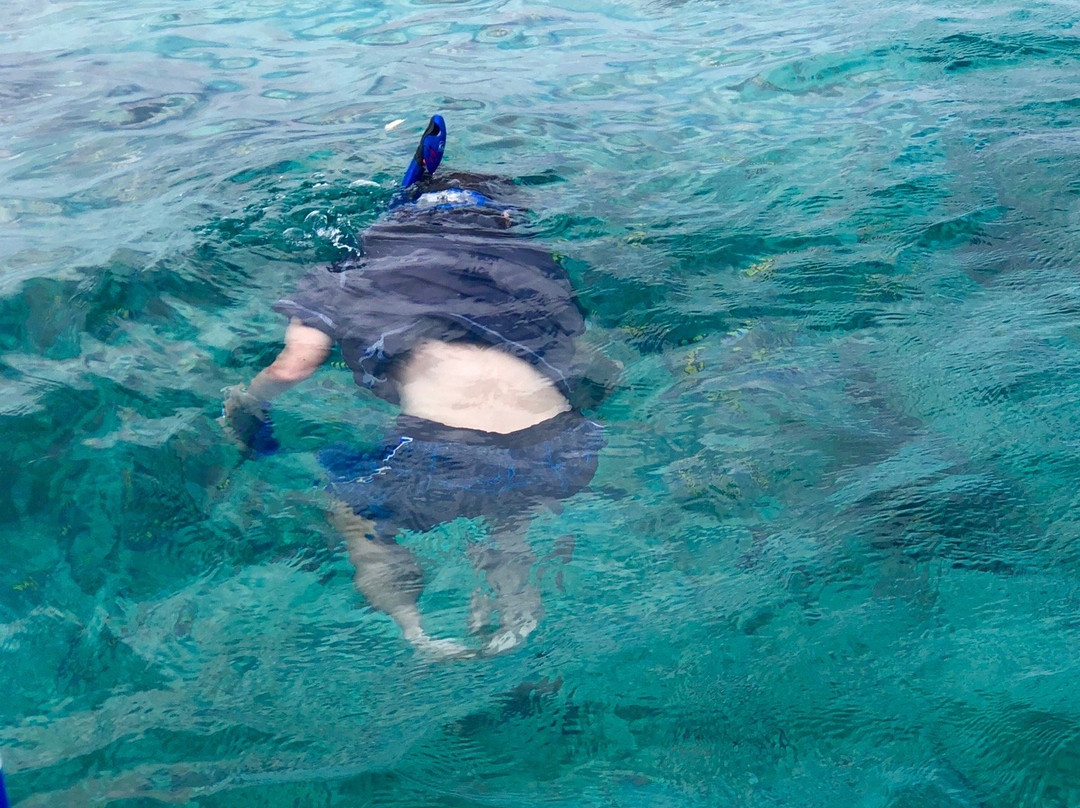 Sun Divers Negril景点图片