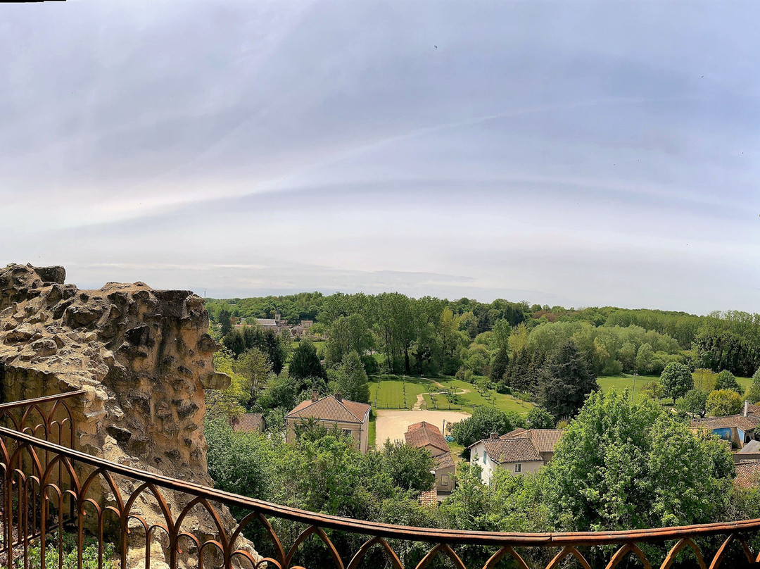 Château de Montreuil Bonnin景点图片