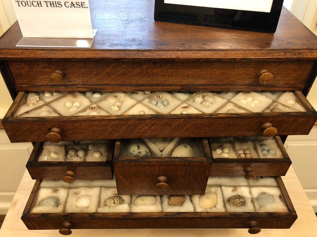 Mill Grove Mansion-Audubon必去景点