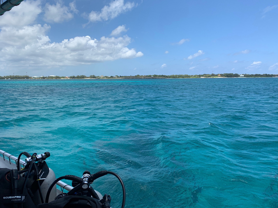 Compass Point Dive Resort主图