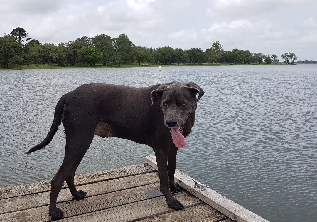 Coleto Creek Park & Reservoir-维多利亚必去景点