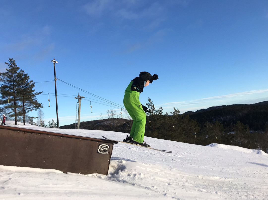 Vegarshei Ski og Aktivitetssenter-Vegarshei Municipality必去景点
