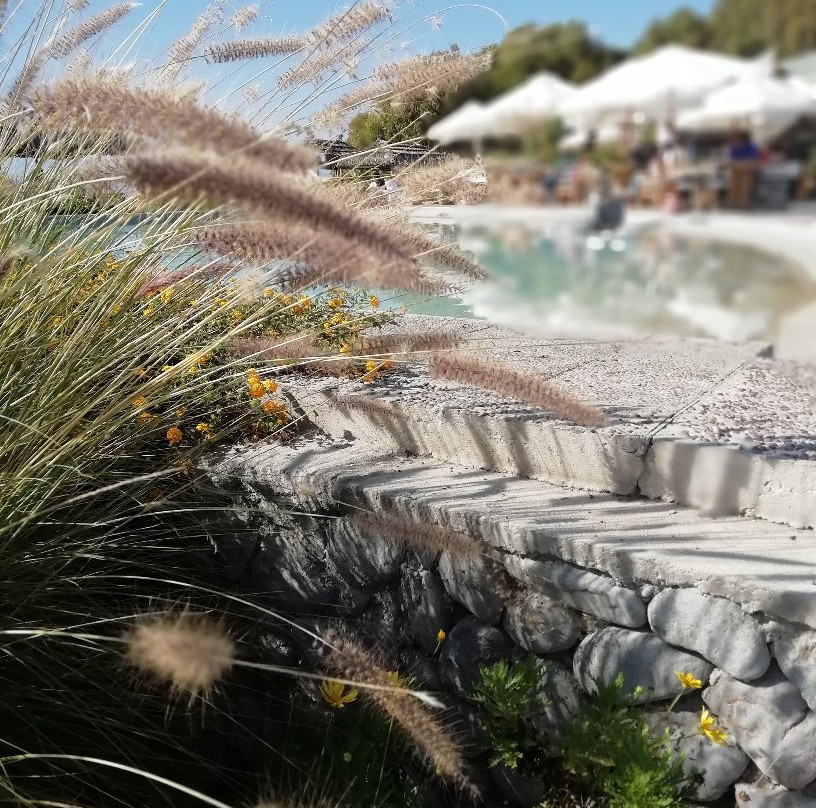 Las Velas Beach Place主图