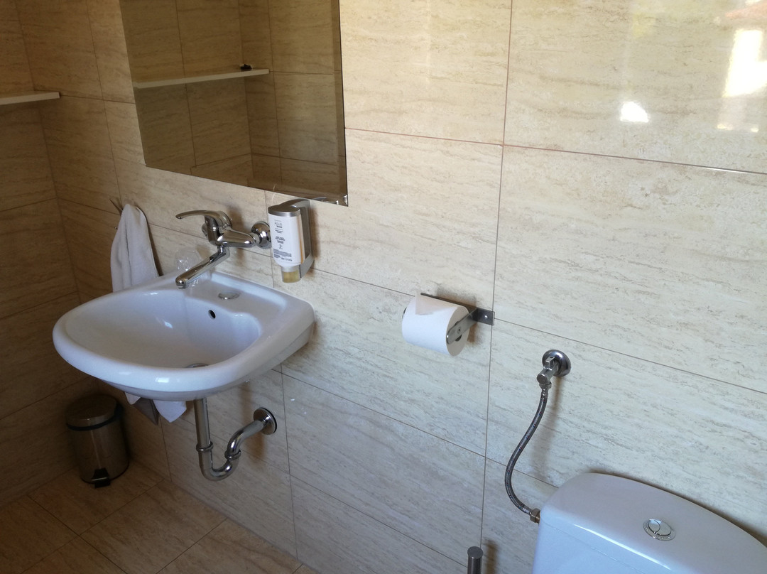 Hotel Walewscy主图