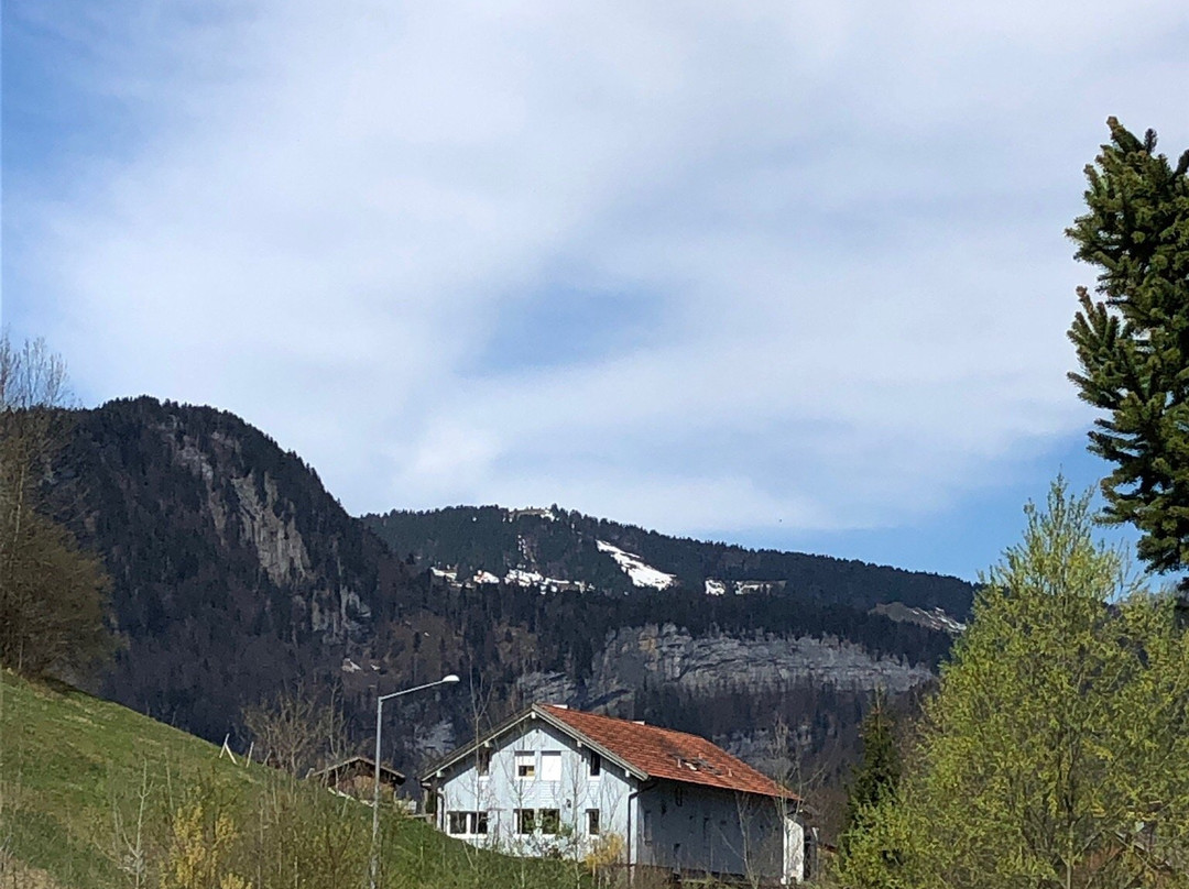 Gasthof Hirschen Bezau主图