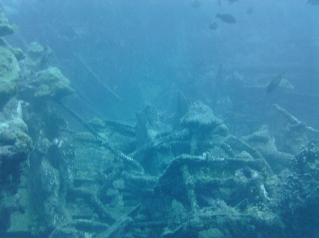 Eleuthera Tahiti Diving Center景点图片