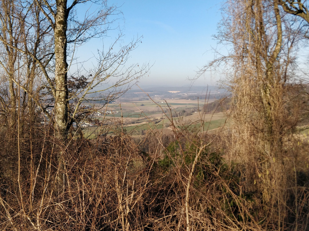 Burgruine Nellenburg