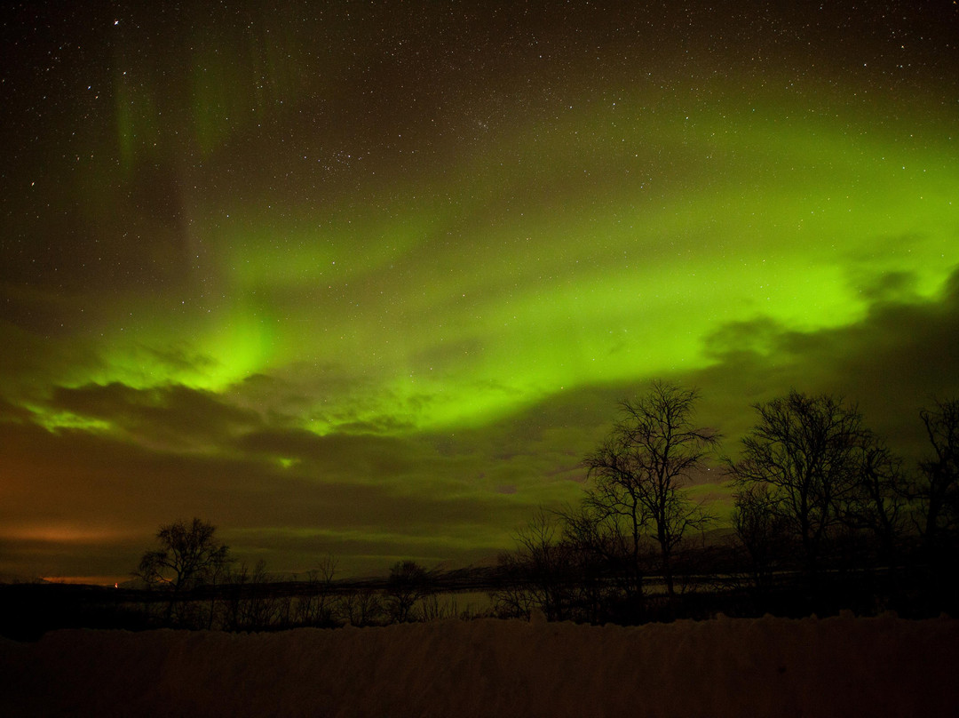 Aurora Chase Narvik景点图片