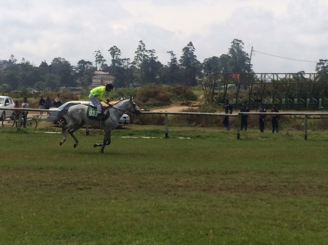 Royal Turf Club-奴娃拉伊利雅必去景点