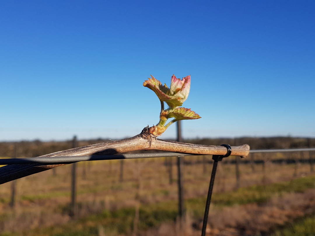 Silver Spoon Estate-Heathcote必去景点