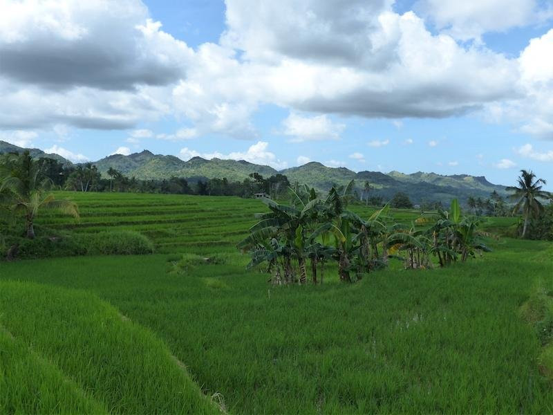 Kapwa Travel-哥多华必去景点