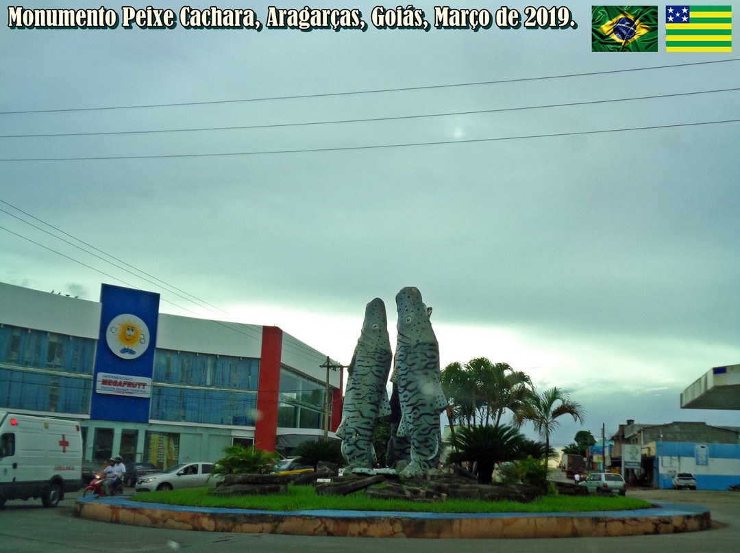 Peixe Cachara Monument景点图片