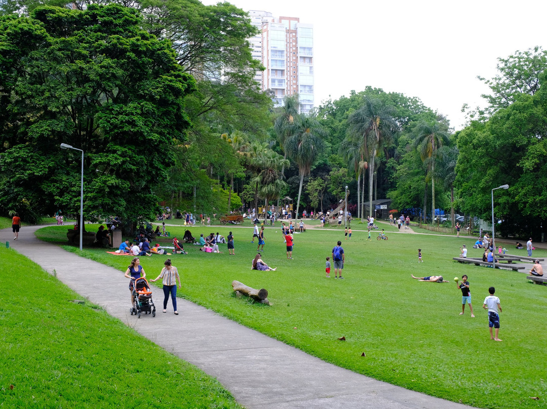 Burle Marx Park-圣保罗必去景点