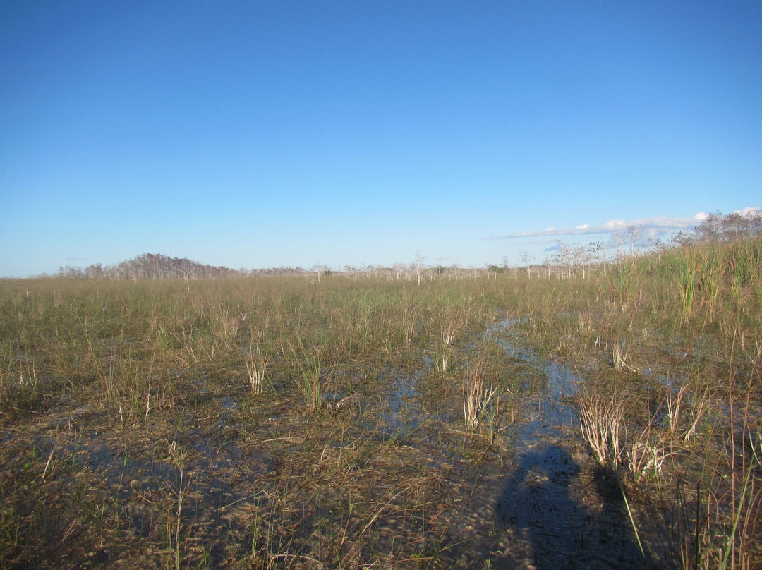 Everglades Wilderness Institute-佛罗里达城必去景点