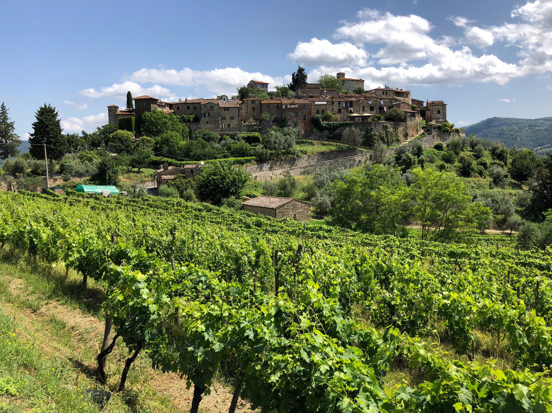 Montefioralle Winery景点图片