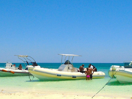 Bullet Speedboats-赫尔格达必去景点