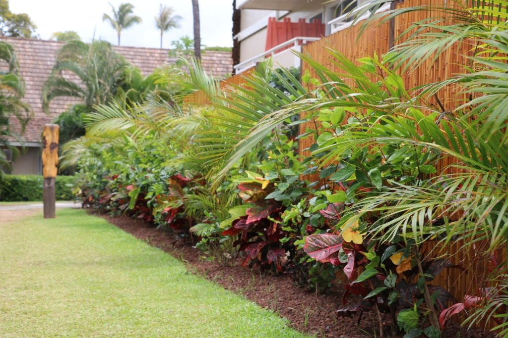 卡阿纳帕利海洋酒店主图