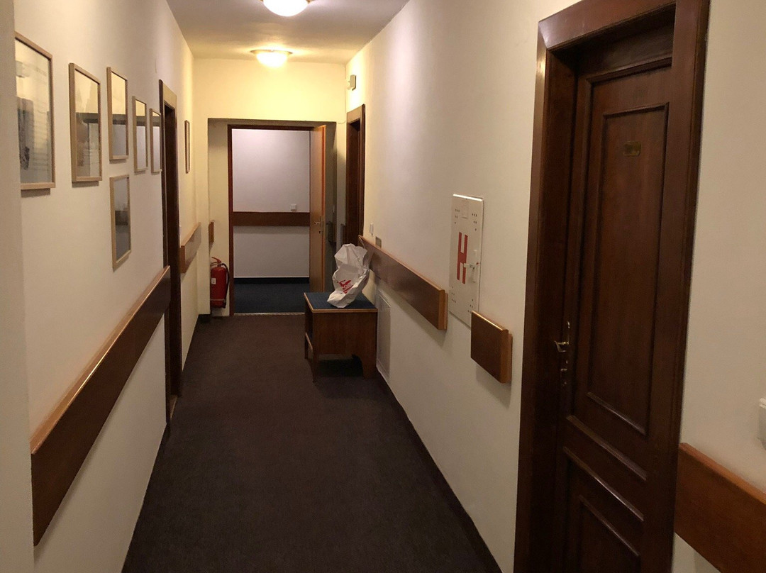 Hotel Napoleon主图