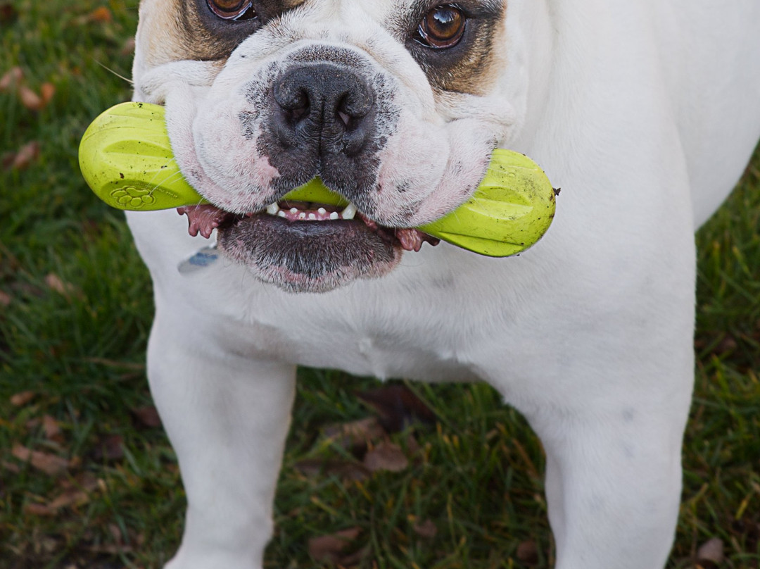 Birchfield Manor Inn and Restaurant主图