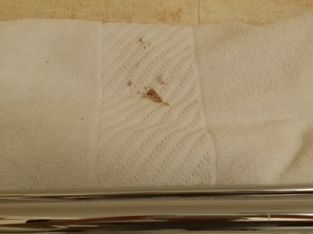 亚历山大品质套房酒店主图