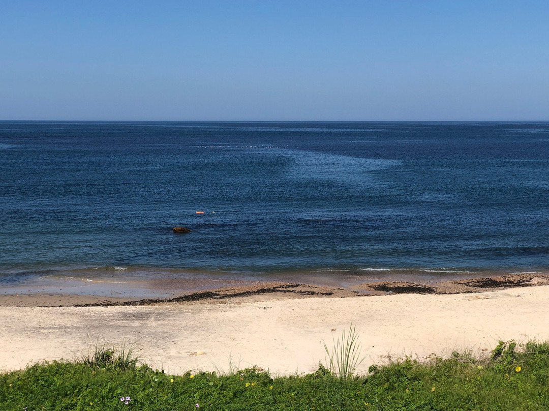 Playa VIK Jose Ignacio主图