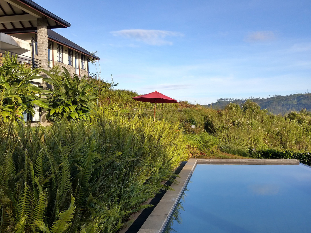 Camellia Hills主图