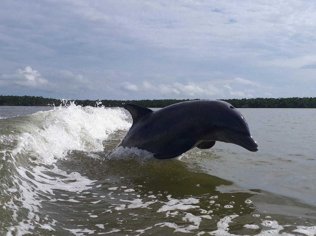 Native Tours & Fishing Charters-大沼泽地必去景点