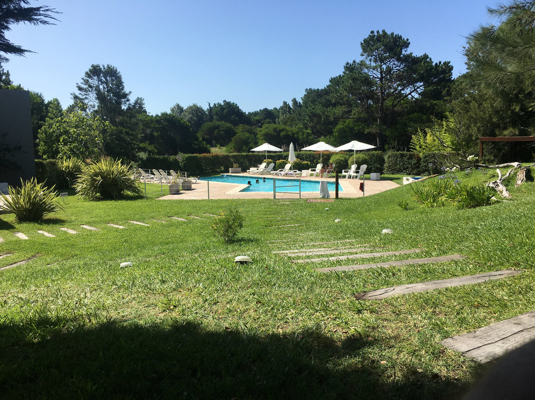 Terrazas del Caleu主图