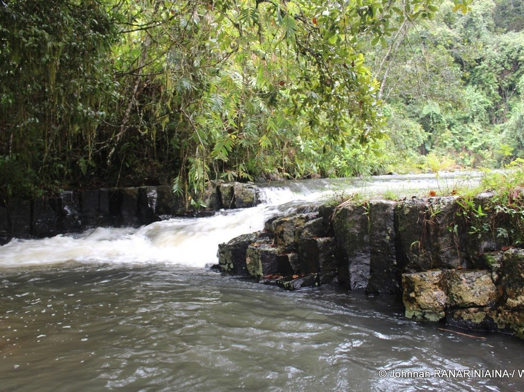 Makira Natural Park-Maroantsetra必去景点