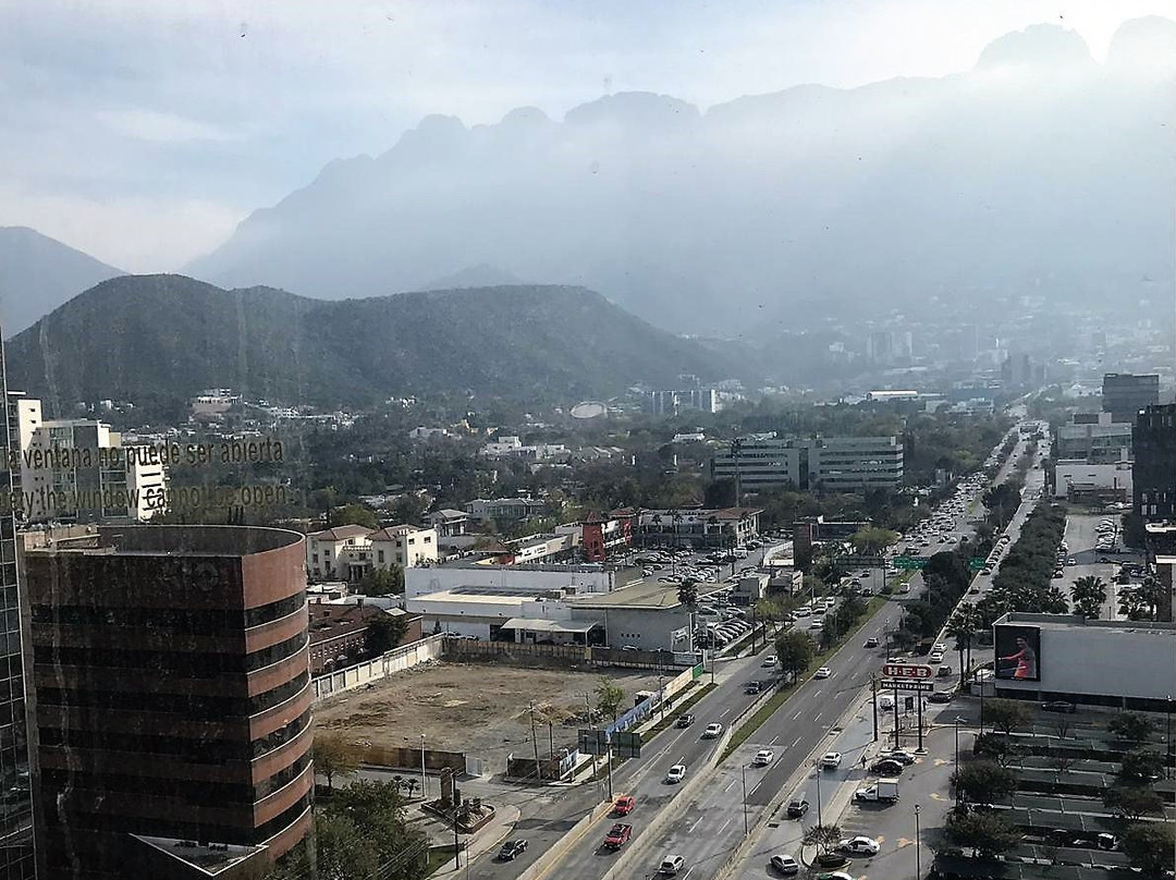 NH Collection Monterrey San Pedro主图