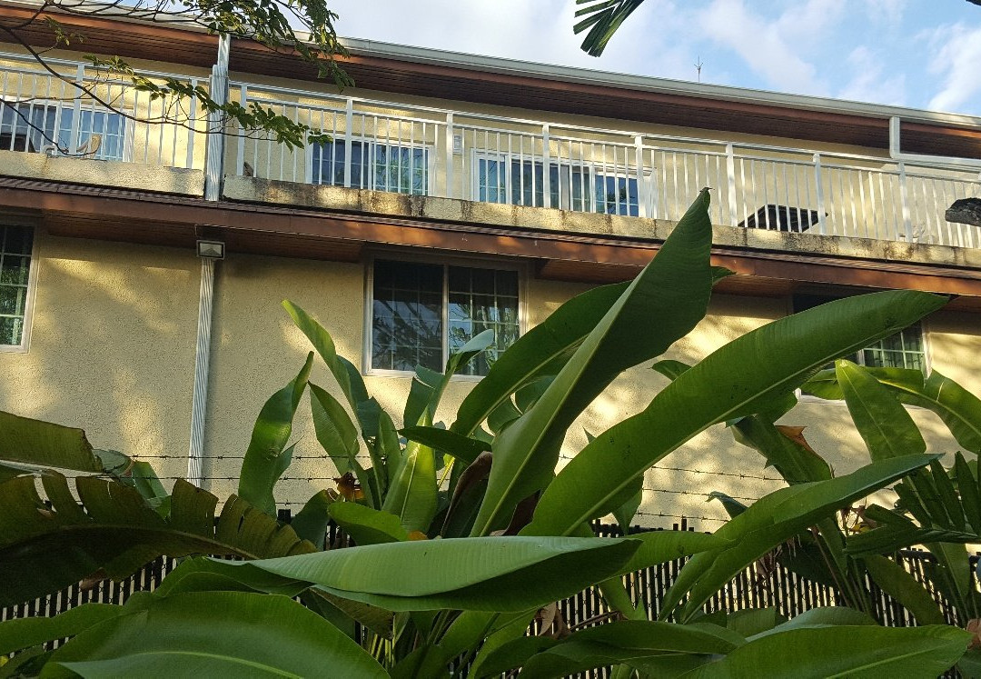 可可棕榈酒店主图