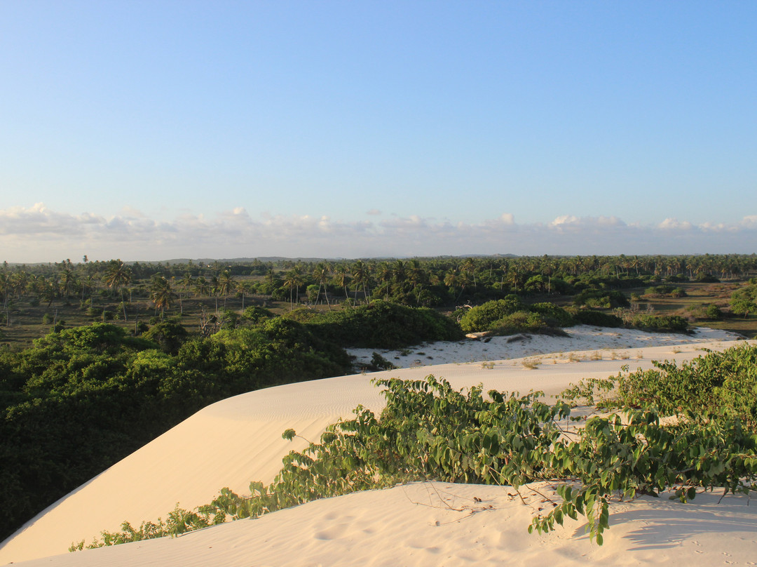Estancia旅游景点-Praia do Saco Dunes