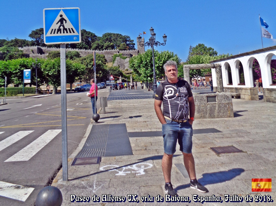 Paseo de Alfonso IX景点图片