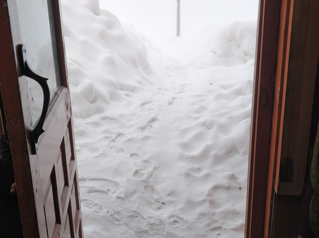 Green Park Hotel & Restaurant主图