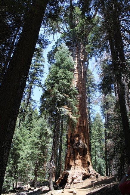 Chief Sequoyah-Three Rivers必去景点