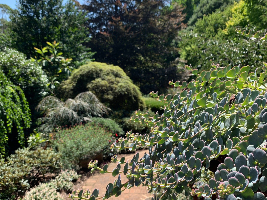 Windyridge Garden景点图片