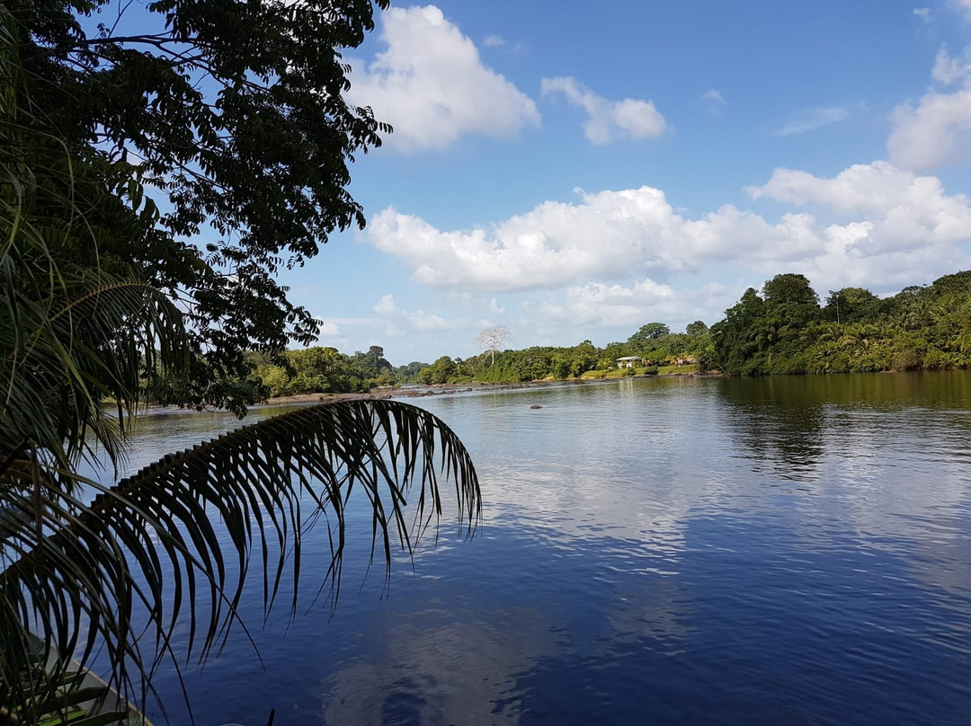 Danpaati River Lodge主图