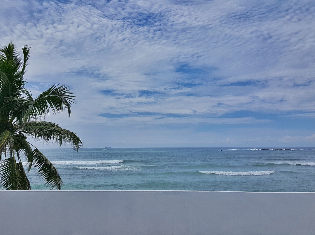 Bieshu Beach Hive主图