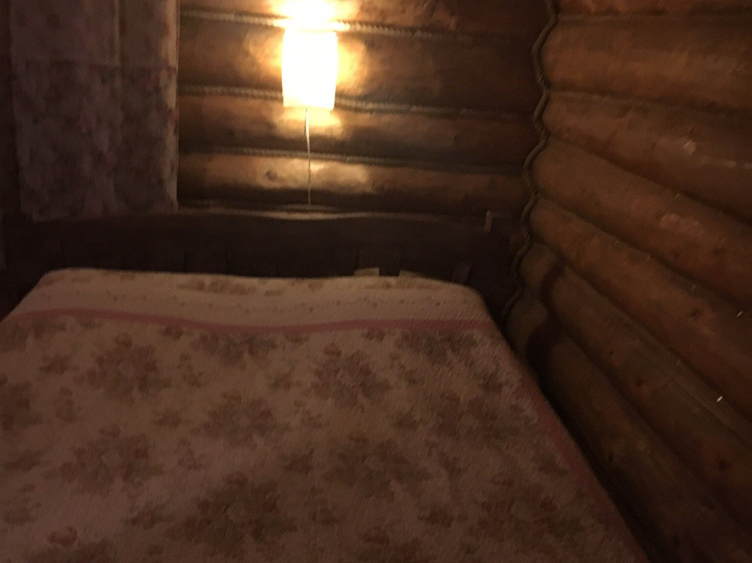 Mini-Hotel Vysokoe主图