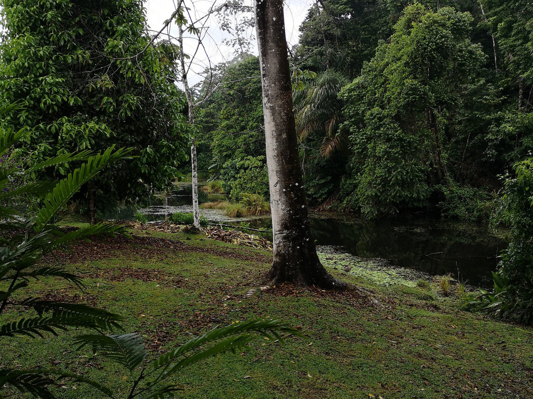 Maquenque Eco-Lodge主图